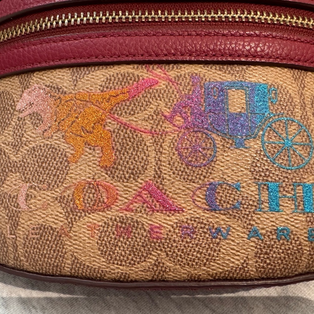Coach REXY 🦖 rainbow carriage and Tan sling bag with rainbow 🌈 Strap - Picture 2 of 12